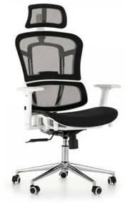Kancelárska stolička Pegasus