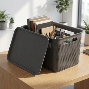 Rotho Úložný box s vekom a s držadlami BRISEN 16l, 36x26,2x21cm, čierny