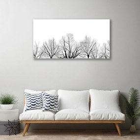 Skleneny obraz Stromy rastlina príroda 100x50 cm