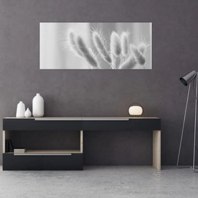 Obraz - Bunny tail grass (120x50 cm)