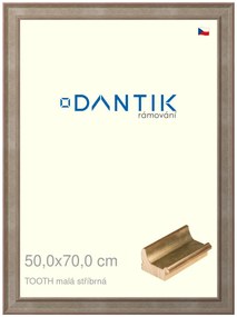 DANTIK rám na obraz 50x70 | TOOTH malá stříbrná (Plexi Čiré)