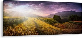 Obraz krajiny (120x50 cm)
