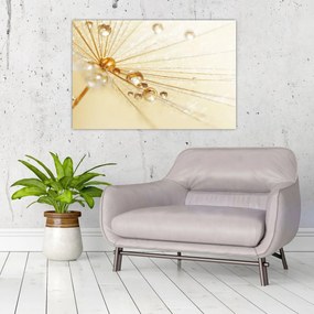 Obraz - Makro fotografie púpavy (90x60 cm)