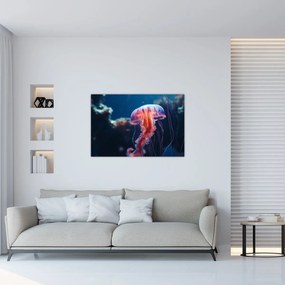 Obraz - Medúzka (90x60 cm)