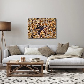 Obraz morskej hviezdice (70x50 cm)