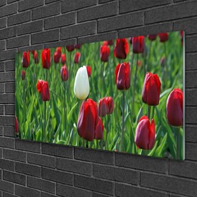 Skleneny obraz Tulipány kvety príroda 125x50 cm