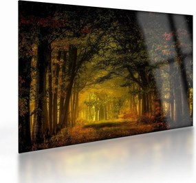 Sklenený obraz lesu (70x50 cm)