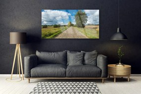 Obraz na akrylátovom skle Dedina cesta dlažba krajina 120x60 cm