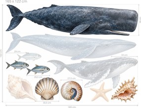 Veľryby z hlbín oceánu realistické nálepky s veľrybami do obývačky na stenu arch 46 x 34 cm