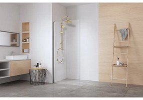 Matne zlatá sprchová súprava z nehrdzavejúcej ocele 101 cm Young Line – Wenko