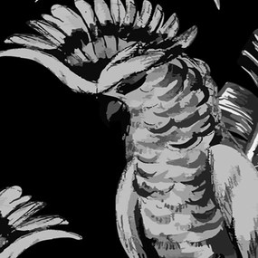 Ozdobný paraván Ptáci černá - 180x170 cm, päťdielny, obojstranný paraván 360°
