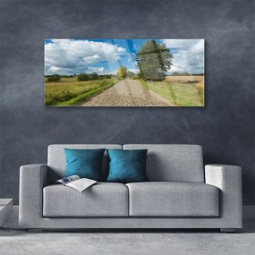 Obraz na akrylátovom skle Dedina cesta dlažba krajina 125x50 cm