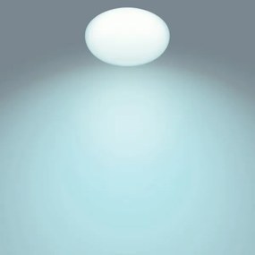 Philips - LED Stmievateľné stropné svietidlo TOBA 1xLED/23W/230V + DO