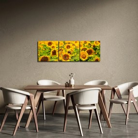 Obraz - Slnečnica (s hodinami) (90x30 cm)