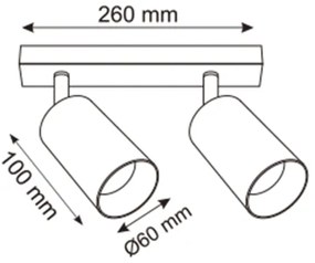 Zuma Line 2211BD-2-GLD - Bodové svietidlo REN 2xGU10/50W/230V zlatá