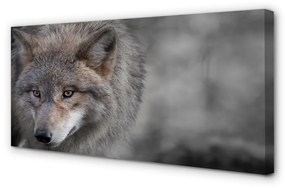 Obraz na plátne vlk 125x50 cm