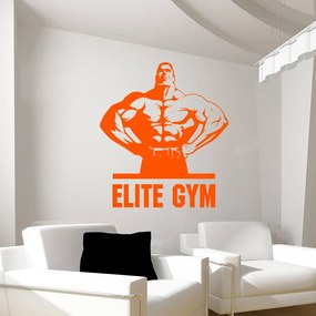 Veselá Stena Samolepka na stenu na stenu Elite Gym Farba: černá