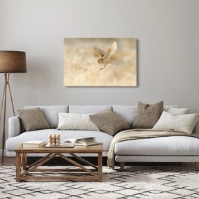 Obraz - Sova pálená (90x60 cm)