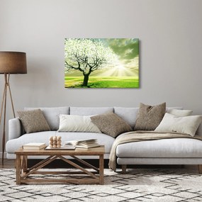 Obraz stromu na lúke (90x60 cm)