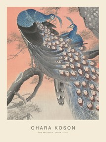 Umelecká tlač Two Peacocks (Special Edition) - Ohara Koson copy, (30 x 40 cm)
