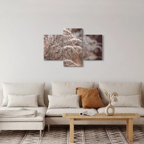 Obraz rastlín (90x60 cm)
