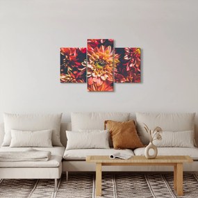 Obraz - Chryzantémy (90x60 cm)