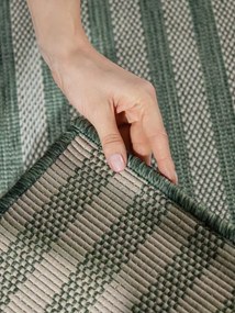 Koberec Ted Baker Haringey Linley zelený / biely