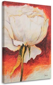 Gario Obraz na plátne Pekná biela pivonka Rozmery: 40 x 60 cm