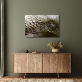 Obraz - Detailné fotografie starého slonieho oka (90x60 cm)