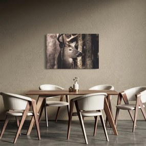Obraz - Jeleň v lese (90x60 cm)