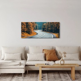 Obraz - Kľukatá cesta (120x50 cm)