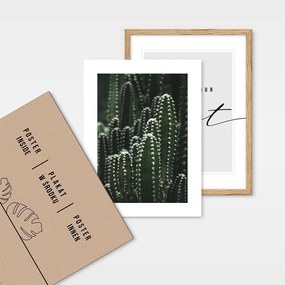 Obrazy v súprave 4 ks 32x42 cm – knor