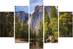 Obraz - Pod Yosemite skalou (150x105 cm)