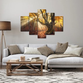 Obraz - Jesenný svit (150x105 cm)