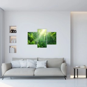 Obraz - Dažďový prales (90x60 cm)