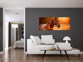Obraz - Kôň v západe slnka (120x50 cm)