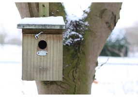 Drevená vtáčia búdka – Esschert Design