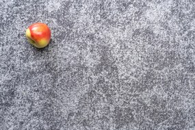 Condor Carpets, Metrážny koberec Serena 6602, na mieru, šíře 4m,5m, šedá, filc, obývacia izba