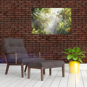 Obraz - Tropický dažďový prales (90x60 cm)