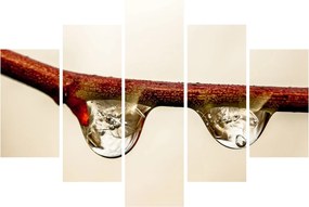 Obraz kvapiek na vetve (150x105 cm)