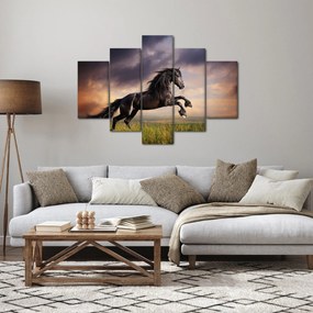 Obraz - Kone (150x105 cm)