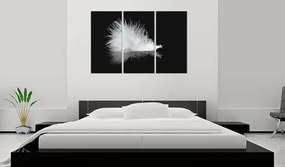 Artgeist Obraz - A small feather Veľkosť: 90x60, Verzia: Na talianskom plátne