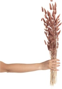 Kytica fúkačiek 60cm dusty pink