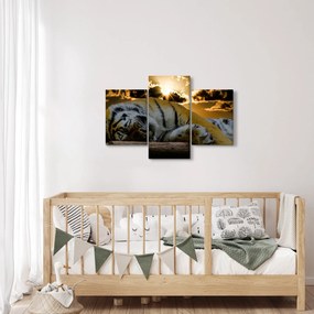 Obraz spiaceho tigra (90x60 cm)