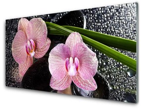 Sklenený obklad Do kuchyne Kvety orchidea kamene zen 140x70 cm