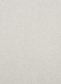 Koberce Breno Metrážny koberec RIO GRANDE 05, šíře role 400 cm, sivá