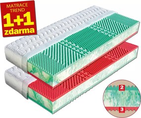 Drevočal Studená pena Ema 1+1 zadarmo Veľkosť: 200 x 140 x 19, Poťah: SilverGuard