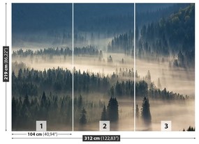 Fototapeta Vliesová Lesné hory 208x146 cm
