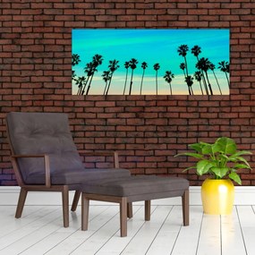 Obraz - Kalifornia (120x50 cm)