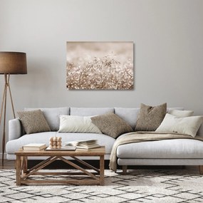 Sklenený obraz - Lúka v hnedých tónoch (70x50 cm)
